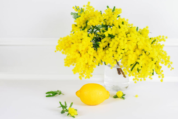 Mimosa gialla e limone sullo sfondo bianco
. - Foto, immagini