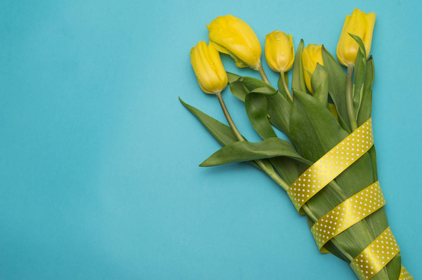 Yellow tulips with yellow ribbon on blue - Фото, зображення