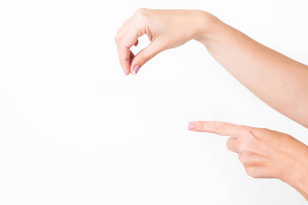 Closeup view of female hands holding nothing isolated on white background. WOman pointing at something with index finger. Put anything you need in empty place. Horizontal color photography. - Photo, Image