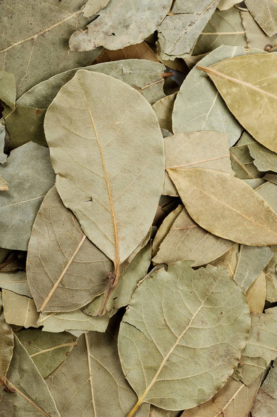 green dried bay leaves background close up. - Fotó, kép