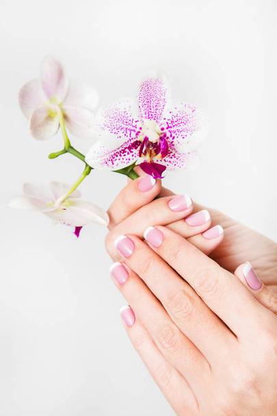 美しいフランス語白とピンクのマニキュア。彼女の手は、白い背景で隔離の美しい蘭の花を保持している女性。水平方向のカラー写真. - 写真・画像