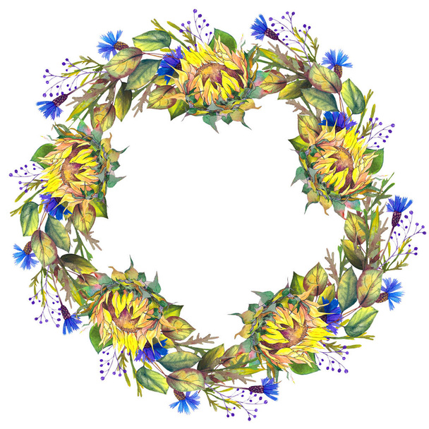 Watercolor wreath with sunflowers, blue cornflowers and leaves. Hand drawn illustration on white background. - 写真・画像