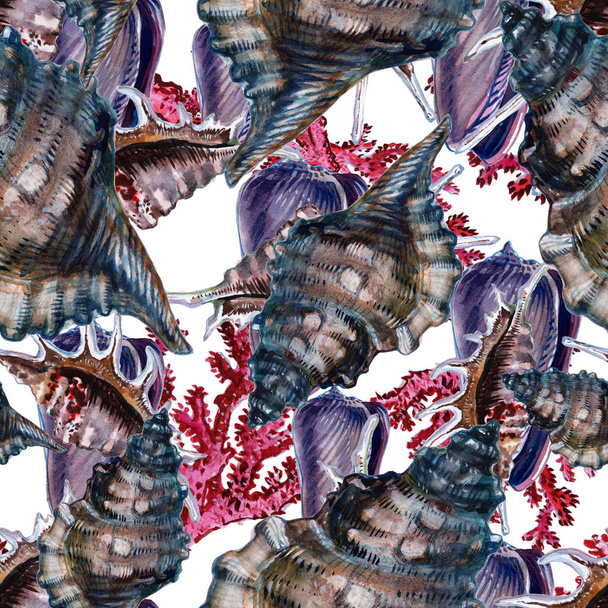 Бесшовные обои из морской раковины на белом фоне. Акварель - иллюстрация
 - Фото, изображение
