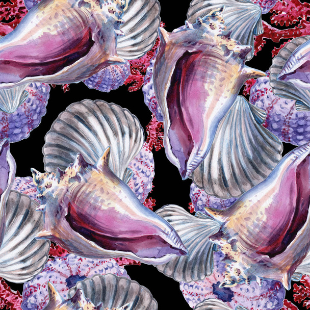 Seamless wallpaper of sea shell on white background. Watercolor - Illustration - Photo, Image