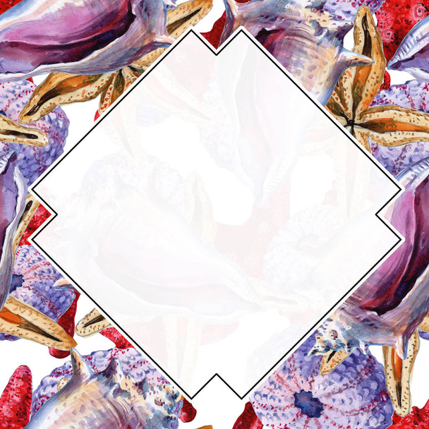 Frame. Color sea shells and starfish, summer background - Fotoğraf, Görsel