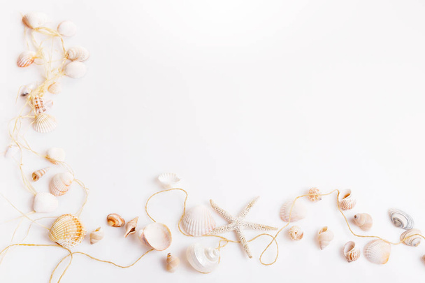 Composition of exotic seashells, oyster, starfish on white background. Tropical summer vacation or Birthday, Wedding Day concept. Flat lay, top view. Marine design. - Foto, Bild