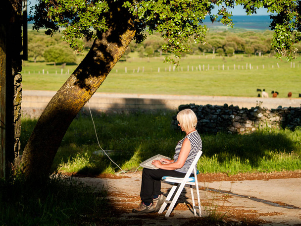 γυναίκα που κάθεται σε καρέκλα με πληκτρολόγιο συνδεδεμένο με δέντρο - Φωτογραφία, εικόνα