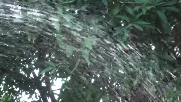 Water spray - Footage, Video