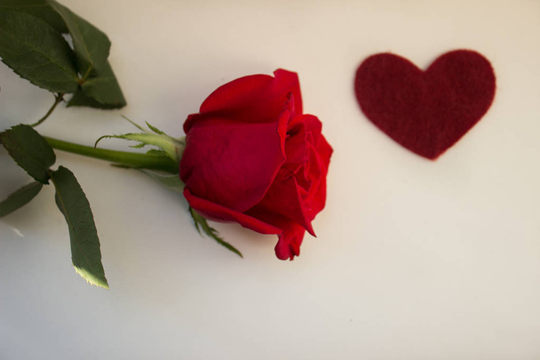 κόκκινα τριαντάφυλλα ως ένα δώρο για διακοπές σε ροζ φόντο - Φωτογραφία, εικόνα