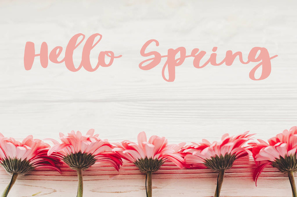 Hello Spring text sign on pink gerbera on white  wooden background - Photo, image