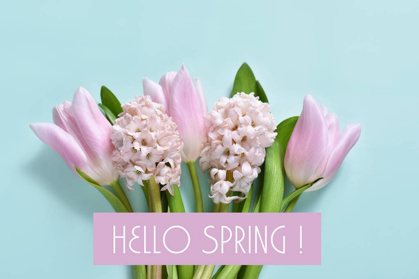 bunch of spring hyacinths and tulips on mint background with text " hello spring " - 写真・画像