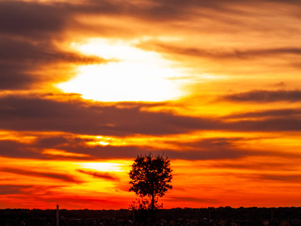 Céu laranja romântico ao pôr do sol em um dia nublado na silhueta dehesa e árvore
 - Foto, Imagem