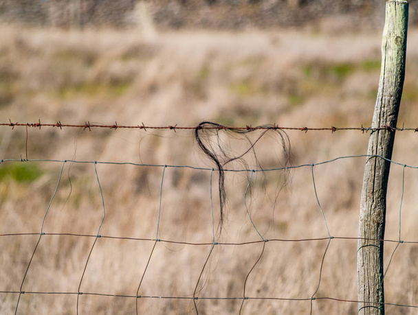 wired fence on field, Salamanca, Spain - Photo, Image