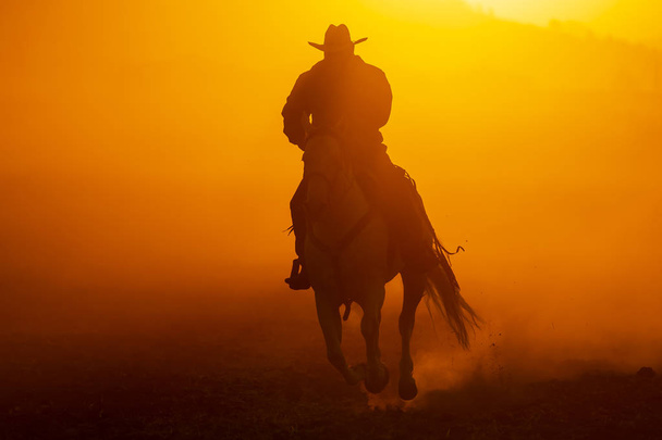 Meksikolainen Charro kerää hevoslauman juoksemaan pellon läpi meksikolaisella tilalla auringonnousun aikaan.
 - Valokuva, kuva