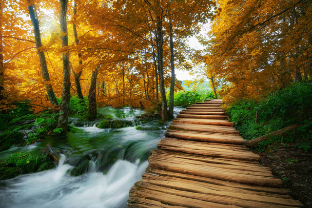 Piękna drewniana ścieżka szlak natury trekking z jezior i Wodospad Krajobraz parku Narodowego Jezior Plitwickich, naturalny światowego dziedzictwa Unesco i słynnej podróży Chorwacja. - Zdjęcie, obraz