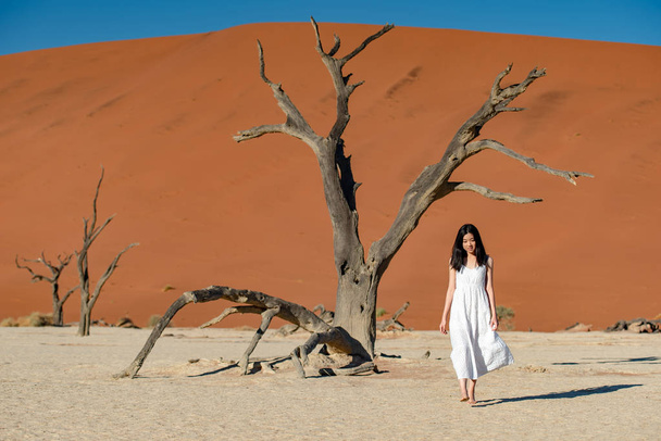 Jeune fille asiatique attrayante portant une robe blanche marchant dans deadvlei (Sossusvlei), célèbre monument naturel dans le désert namibien de Namibie, Afrique
 - Photo, image