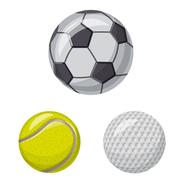 Isolated object of sport and ball icon. Collection of sport and athletic stock symbol for web. - Vetor, Imagem