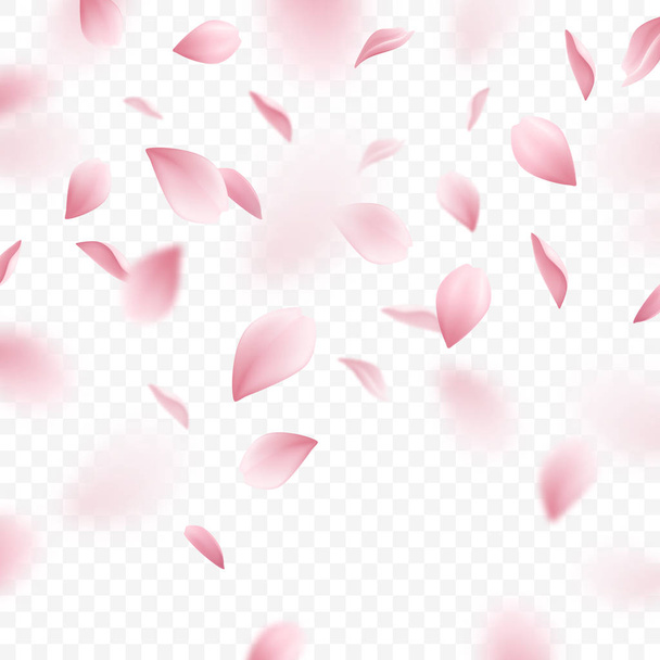 Sakura Realistinen tausta
 - Vektori, kuva