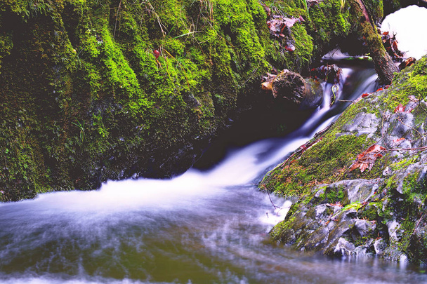 Piedra de basalto y hojas de colores debajo de la cascada en otoño. Burbujas brillantes en agua fría oscura
 - Foto, Imagen