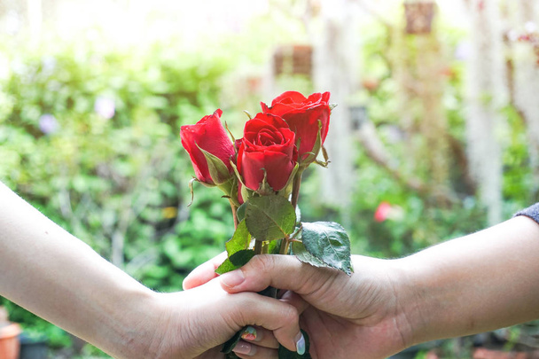 Ο άνθρωπος που κρατάτε κόκκινα τριαντάφυλλα πίσω από την πλάτη. Ημέρα του Αγίου Βαλεντίνου δώρο ιδέα - Φωτογραφία, εικόνα