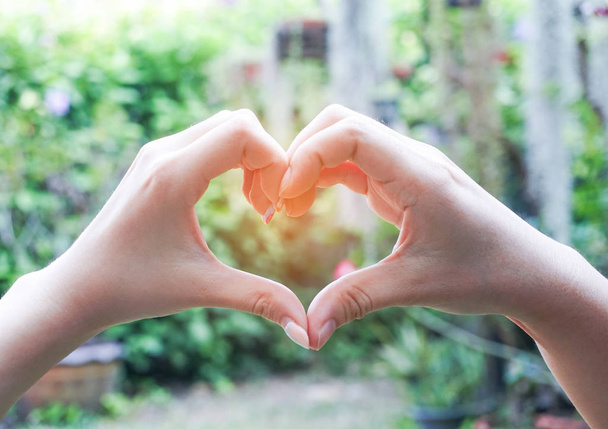 Kalp şeklinde eller çiftsiniz. Aşk kalp şeklinde elinde - Fotoğraf, Görsel