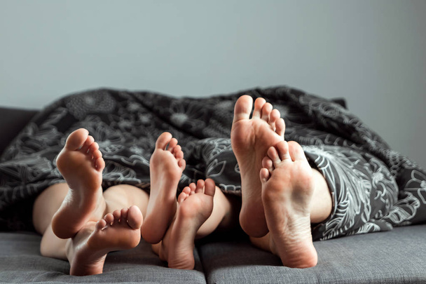 Happy family, Close-up of legs sticking out from under the blanket. Copy space. The concept of family, family relationships, successful marriage. - Fotó, kép