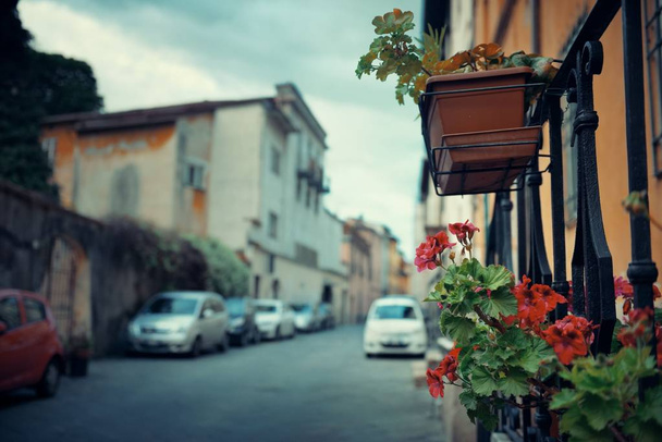 Lucca vista de la calle con flor en Italia
 - Foto, Imagen