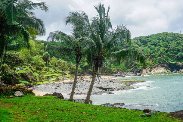 Palm trees of the tropical peninsula near the village of Gokarna. India - Foto, afbeelding
