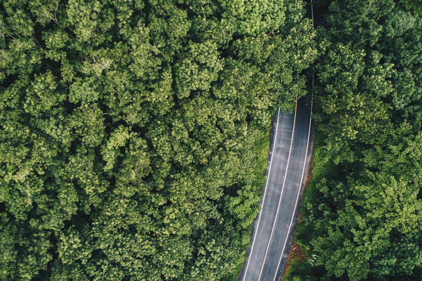 Letecký pohled od silnice v tropické zelený Les, doprava v přírodě - Fotografie, Obrázek