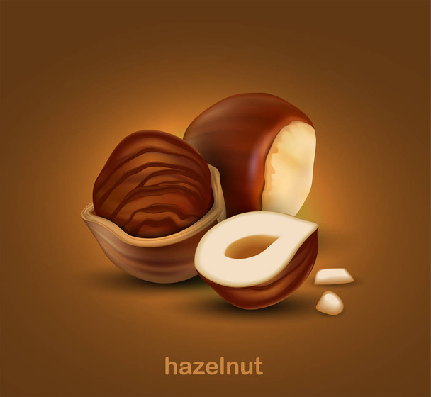 Hazelnuts. The whole nut, half nut and half a nut in shell on a brown background.  3D vector. High detailed realistic illustration - Vektor, obrázek