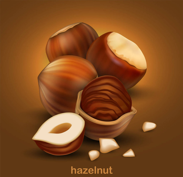 Hazelnuts. The whole nuts, half nuts and half a nut in shell on a brown background.  3D vector. High detailed realistic illustration - Vektori, kuva