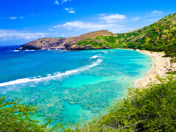 Bahía de snorkel en Oahu, Hawaii
 - Foto, Imagen