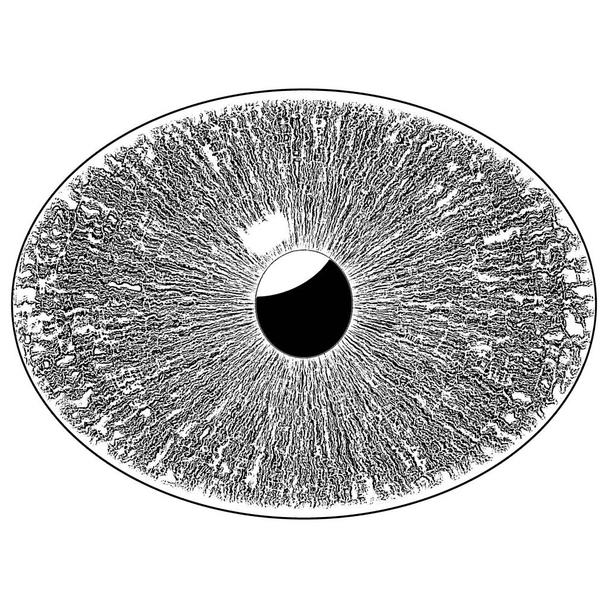 Контур нелюдського ока на білому тлі
 - Фото, зображення