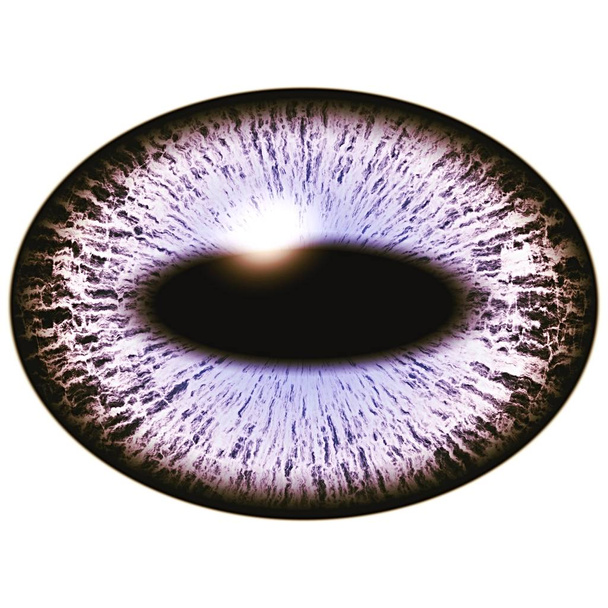 Close-up modré nelidské oko na bílém pozadí. - Fotografie, Obrázek