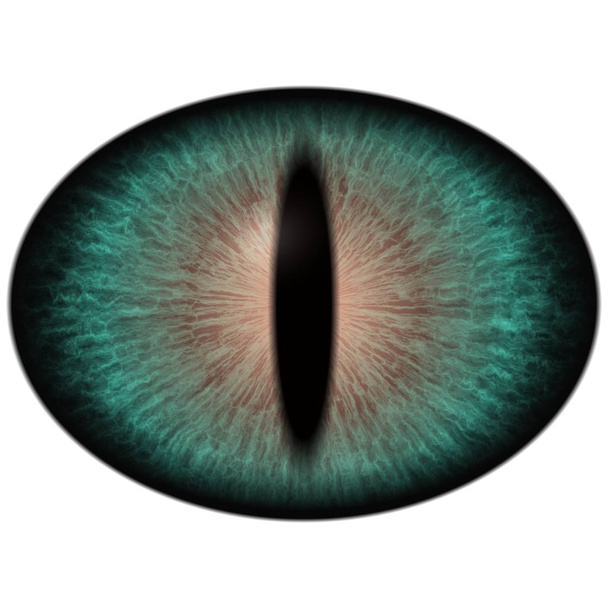 Dierlijke oog als groene kleur pictogram. Elementen voor ogen multi gekleurde pictogrammen. - Foto, afbeelding