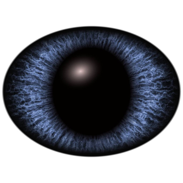 Close-up of blue unhuman eye on white background. - Photo, Image