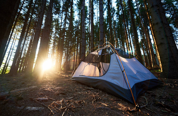bílý stan v kempu v krásném lese v horách na ranní - Fotografie, Obrázek
