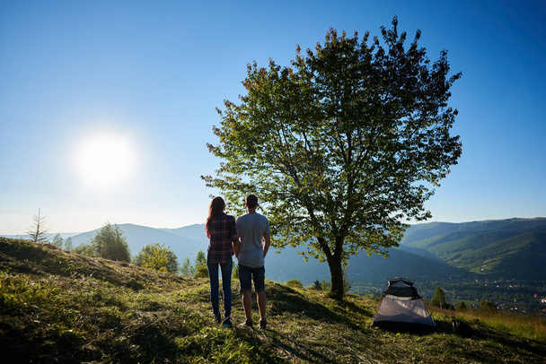 Back view of two happy young man and woman hikers resting near camping and big tree in mountains at sunny morning - Foto, Imagem