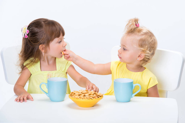 Two cute little girls sisters eating cereal flakes and drinking a cup of milk or tea at the table isolated on white background. - 写真・画像