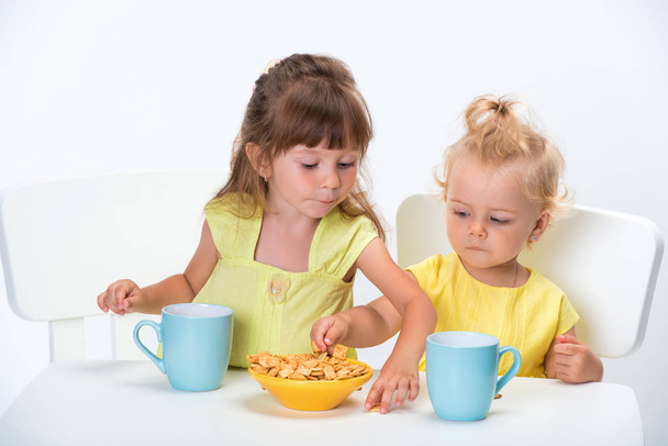 Two cute little girls sisters eating cereal flakes and drinking a cup of milk or tea at the table isolated on white background. - Photo, image