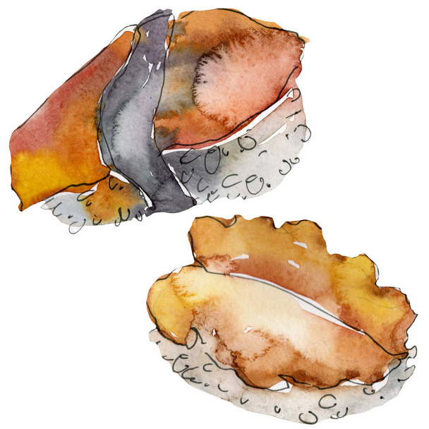 Ensemble de sushis aquarelle de belle illustration de nourriture japonaise savoureuse. Objets dessinés à la main isolés sur fond blanc
. - Photo, image