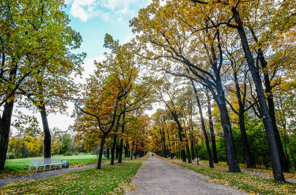 Осенний парк Екатерининского дворца в Санкт-Петербурге, Россия
. - Фото, изображение