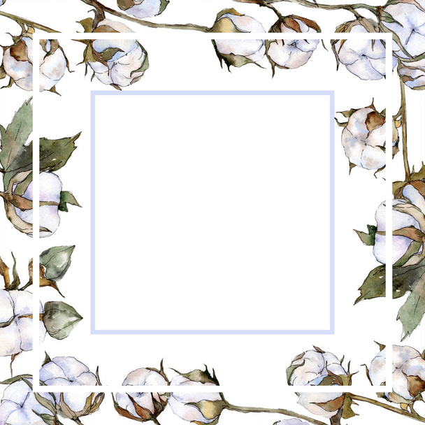 白い綿の花植物花。水彩画背景イラスト セット。フレーム枠飾りスクエア. - 写真・画像