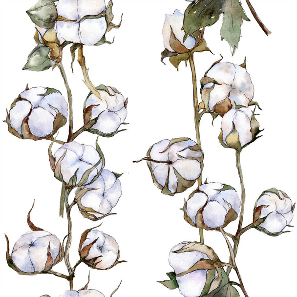 Bawełna biały botaniczny kwiat kwiatowy. Zestaw ilustracji tle akwarela. Bezszwowe tło wzór. - Zdjęcie, obraz