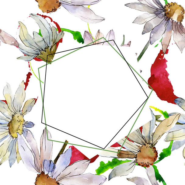 白いデイジーの花植物花。水彩画背景イラスト セット。フレーム枠飾りスクエア. - 写真・画像