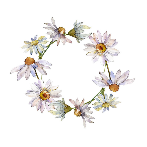 White daisy floral botanical flower. Watercolor background illustration set. Frame border ornament square. - Φωτογραφία, εικόνα