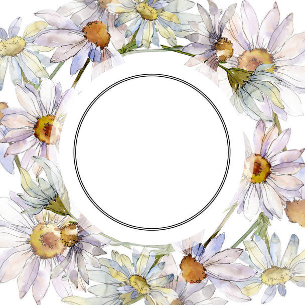 Fleur botanique florale marguerite blanche. Ensemble d'illustration de fond aquarelle. Cadre bordure ornement carré
. - Photo, image