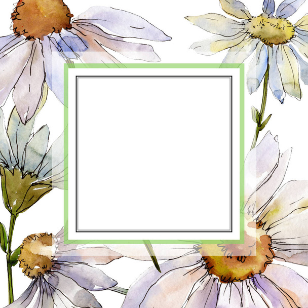 White daisy floral botanical flower. Wild spring leaf wildflower isolated. Watercolor background illustration set. Watercolour drawing fashion aquarelle isolated. Frame border ornament square. - Photo, image