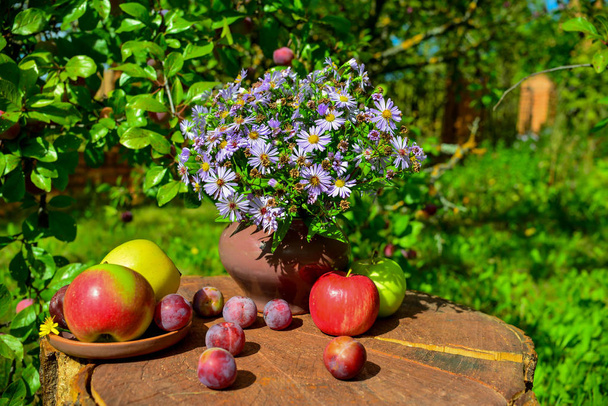 Lindas flores, maçãs e ameixas no jardim
  - Foto, Imagem