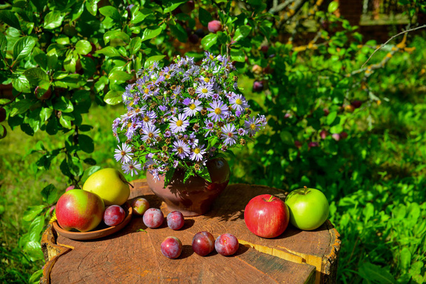 Красиві квіти, яблука і сливи в саду
  - Фото, зображення